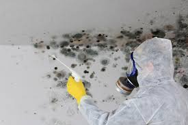 Best Crawl Space Mold Remediation  in Clifton, AZ